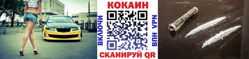 Купить закладки  Новозыбков  Cocaine 99% 