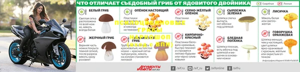 молекула духа Верхний Тагил