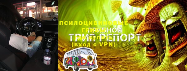 молекула духа Верхний Тагил